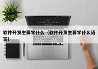 软件开发主要学什么（软件开发主要学什么语言）